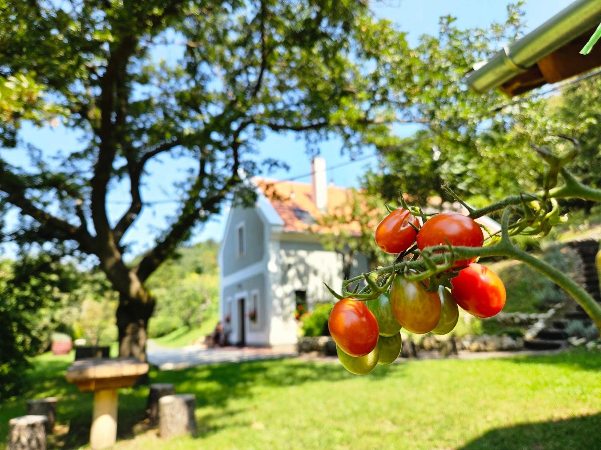 Kosbor Vendégház Monoszlo Exterior foto