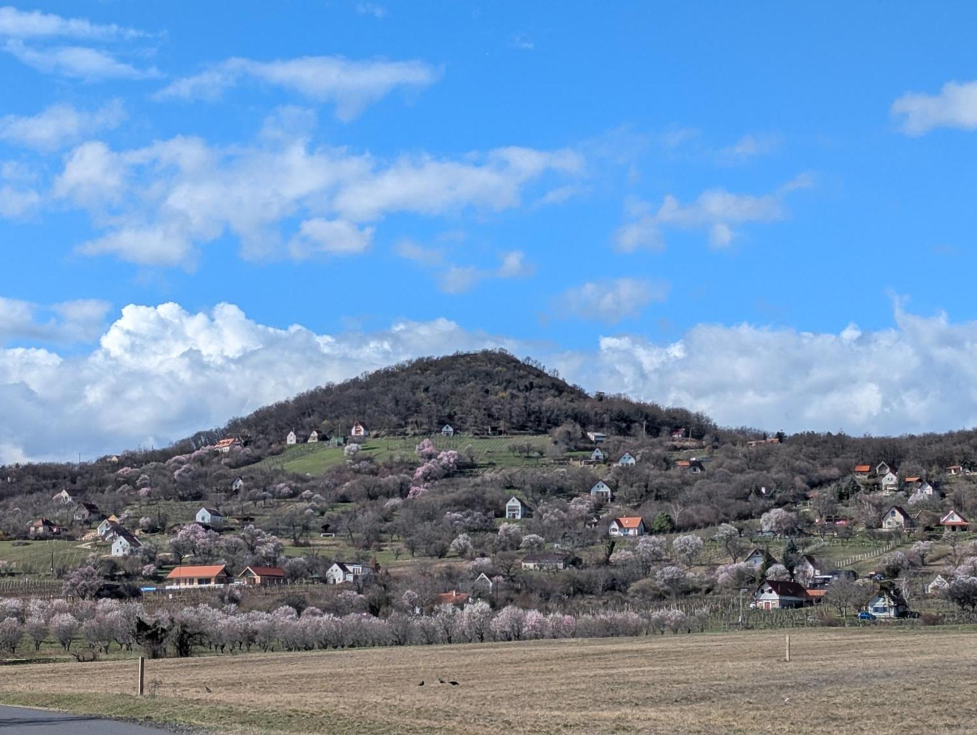 Kosbor Vendégház Monoszlo Exterior foto